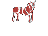 Cow Meat Sticker by passionecarnale