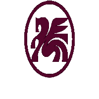 Dallas Dtfc Sticker by Dallas-Trinity-FC