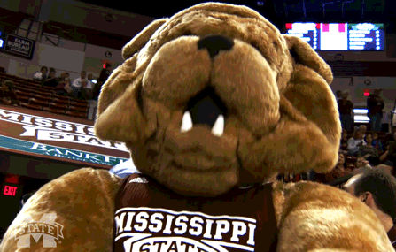 bulldog yes GIF by Mississippi State Athletics