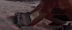 board game GIF by Jumanji: Welcome to the Jungle