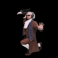 Independence Day Bird GIF