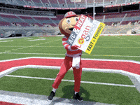 LoganServices osu ohio state buckeyes ohio state buckeyes GIF