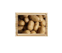 donnathomas-rodgers potato fries fry potatoes Sticker