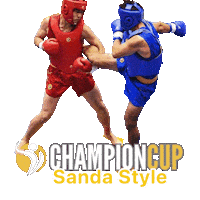 Martial Arts Arti Marziali Sticker by Champion Training Sanda Martial Art