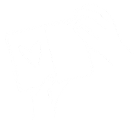 Bucher Lesen Sticker