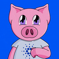 Piggyverse yes pig yep nfts GIF