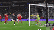 Celebrate Rachel Corsie GIF by Scotland National Team