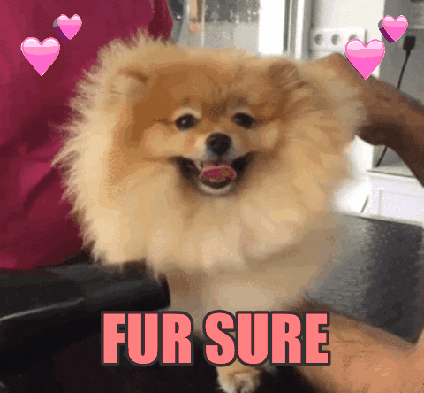 Fo Sho Fur Sure GIF by chuber channel