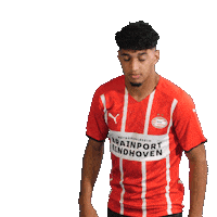 Football Celebrate Sticker by PSV