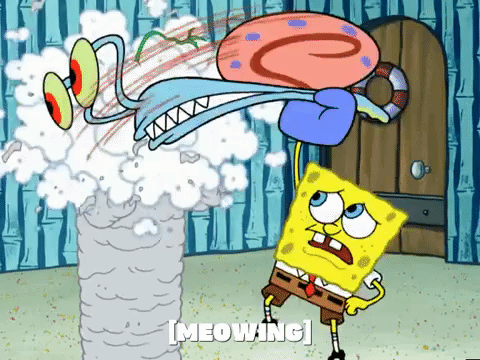 season 4 GIF by SpongeBob SquarePants