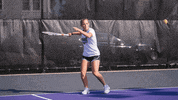 Lorasathletics Duhawkathletics GIF by Loras College