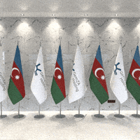 GemZAGroup flag azerbaijan gemza gemzaaz GIF