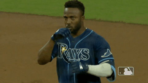 Major League Baseball Sport GIF by MLB