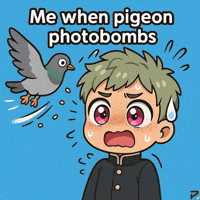 Pigeon Photobomb GIF by Persona