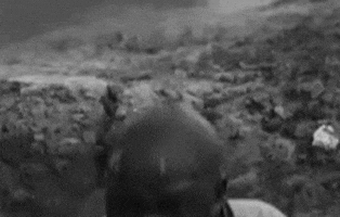 bw GIF
