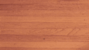 sport business GIF by SoulPancake