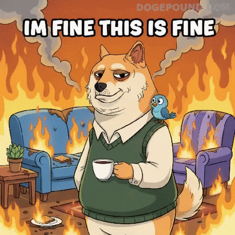 This Is Fine On Fire GIF by Doge Pound