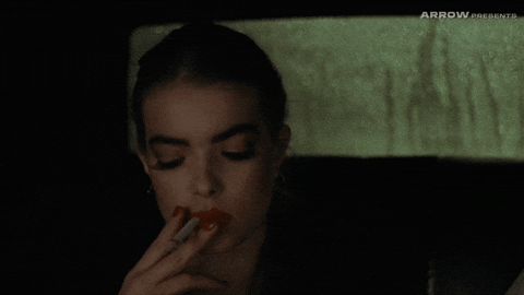 New York Horror GIF by Arrow Video