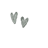 Heart Sticker