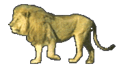 lion STICKER