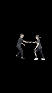 swinggremlins swing backflip aerial lindyhop GIF