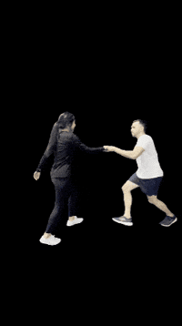 Dance Lindyhop GIF
