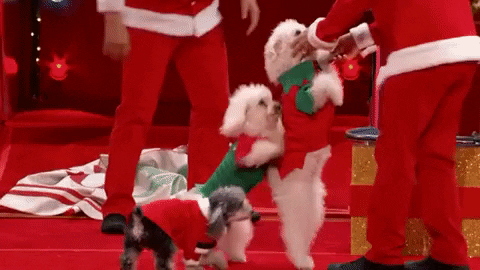 Americas Got Talent Holiday Spectacular Christmas GIF by America's Got Talent