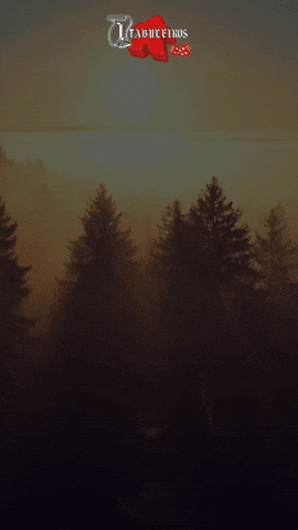 https://media1.giphy.com/media/v1.Y2lkPTc5MGI3NjExODBkN3hjMm5hc2tmbmF2N211ajhmamc2aDZ3Y2I5MzcyNGlrOHVsZiZlcD12MV9pbnRlcm5hbF9naWZfYnlfaWQmY3Q9Zw/WtgyBafi5jmrYJgNYI/giphy.gif