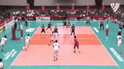 Lets Go Jump GIF by Volleyball World