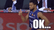 Liga Endesa Ok GIF by ACB