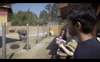 GIF by Arun Considers