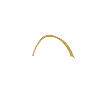 Heart Rainbow Sticker by La Craie co