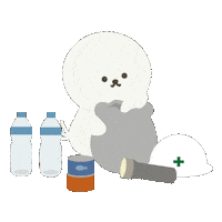 ビション Bichonfrise Sticker