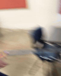 Shocked Surprise GIF