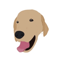 Dog Kiwi Sticker