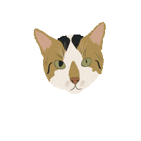 Cat Meow Sticker