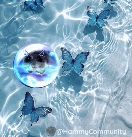 Good Morning Butterfly GIF by Sad Hamster