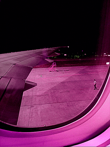 Adventure Time Plane GIF by ellaknor