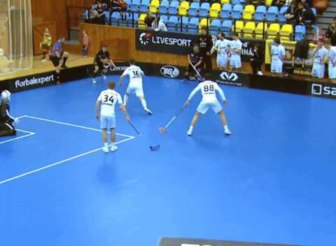 prosa391112 giphyupload GIF