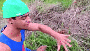 zoio formigueiro GIF by Éverson Zóio