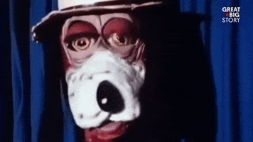 Excuse Me What GIF by Great Big Story
