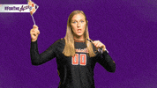 Purple Aces Evansville GIF by UE Athletics
