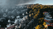 whydontwemusic why dont we cold in la GIF