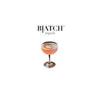BIATCHtequila birthday drink cheers mexico Sticker