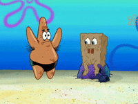 season 6 GIF by SpongeBob SquarePants