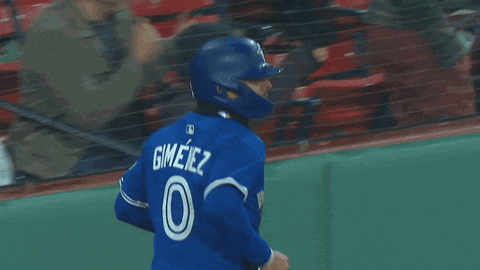 Fenway Park Baseball GIF by Toronto Blue Jays