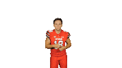 Utah Utes Sticker by Utah Football