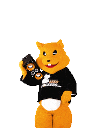 Seedstockers squirrel ardilla doobie veverka Sticker