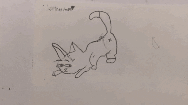 nscad GIF