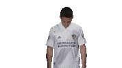 Los Angeles Football Sticker by LA Galaxy
